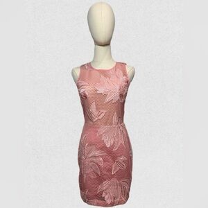 Pink Floral Mesh Dress